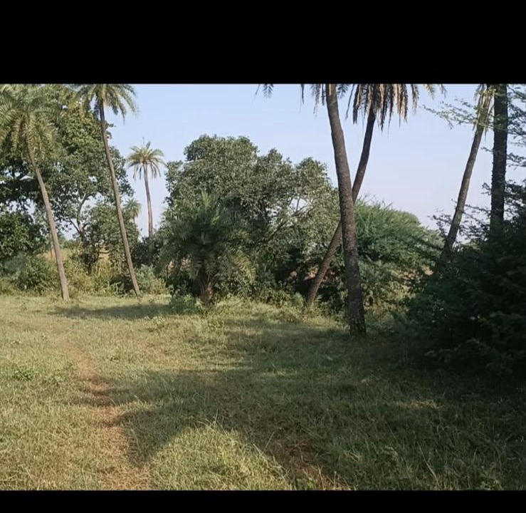 Photo of Others in Rau