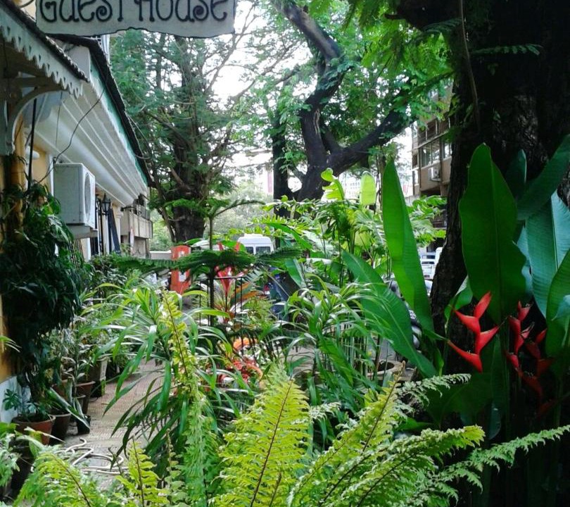 Photo of Others in Fontainhas