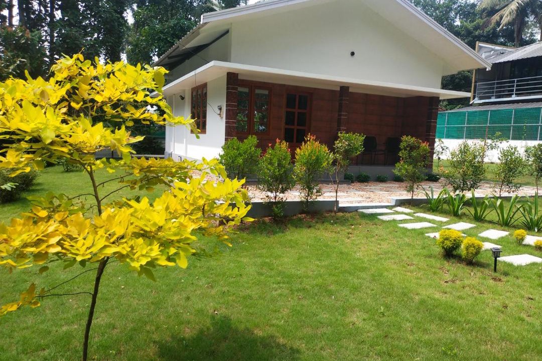 Photo of Buildings in Thattekkad