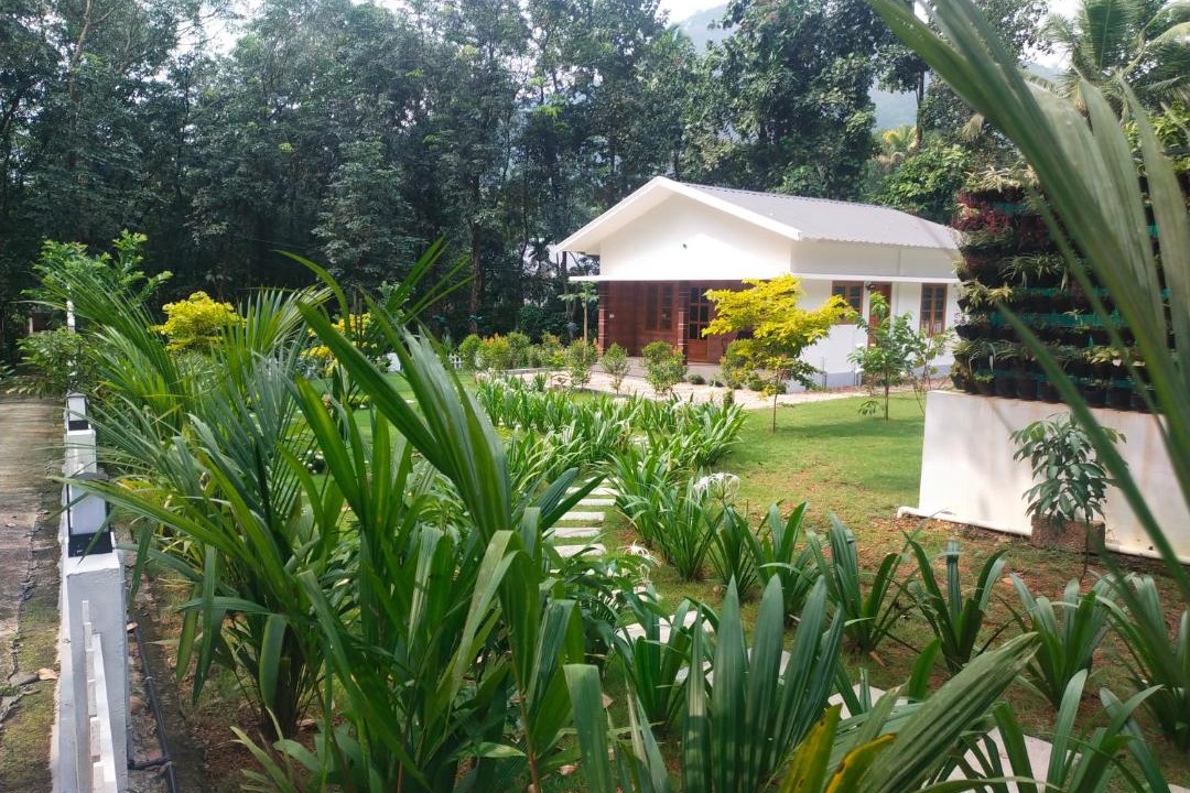 Photo of Others in Thattekkad