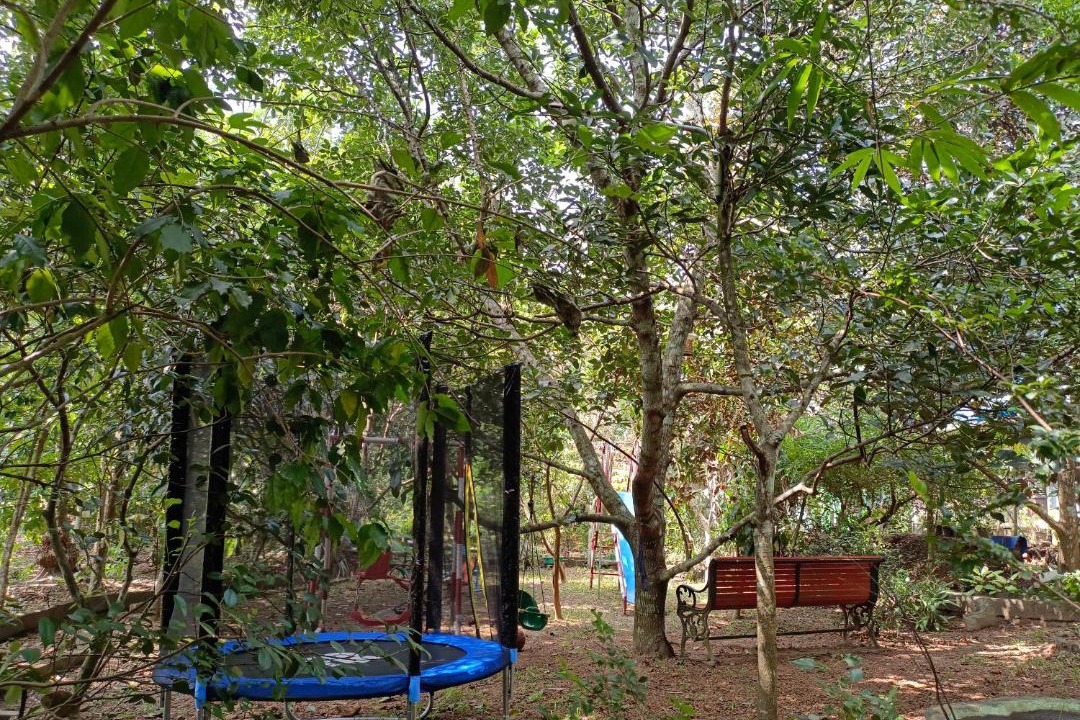 Photo of Others in Nedumangad