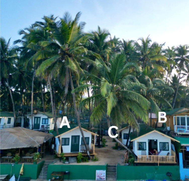 Photo of Others in Palolem