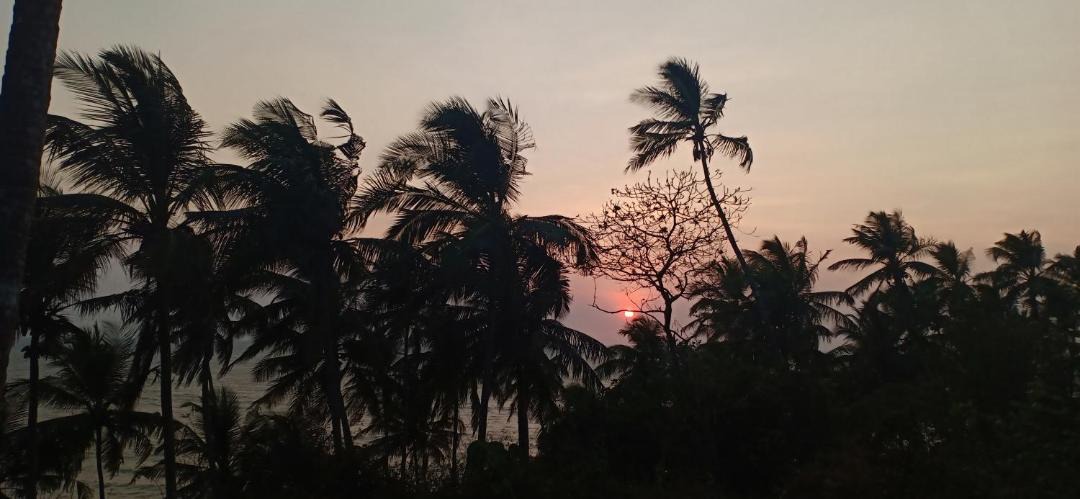 Photo of Others in Kannur