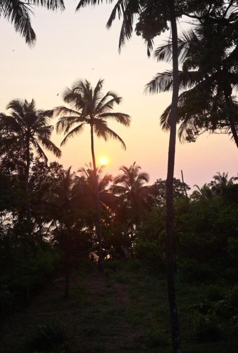 Photo of Others in Kannur