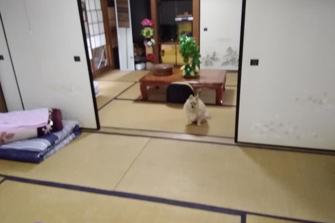 Photo of Others in Takatsuki