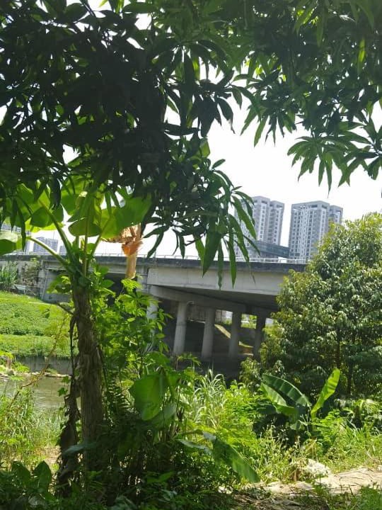 Photo of Others in Kuala Lumpur