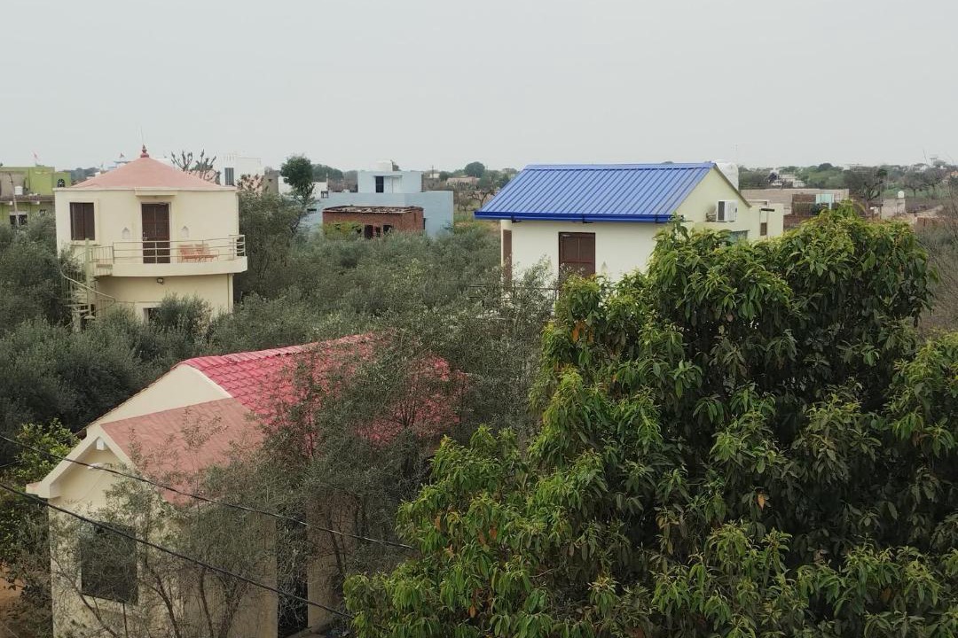 Photo of Others in Chirawa