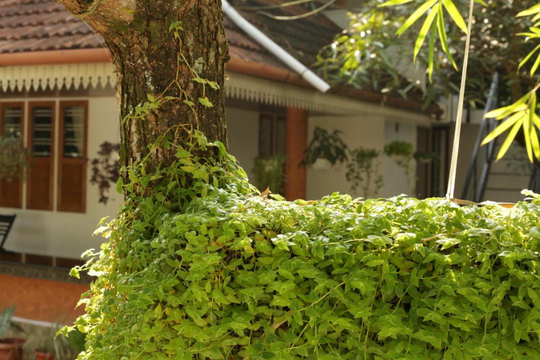 Photo of Others in Vypin