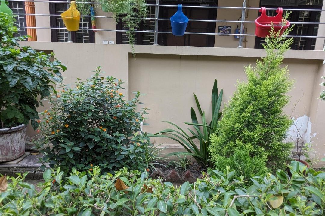 Photo of Buildings in Noida