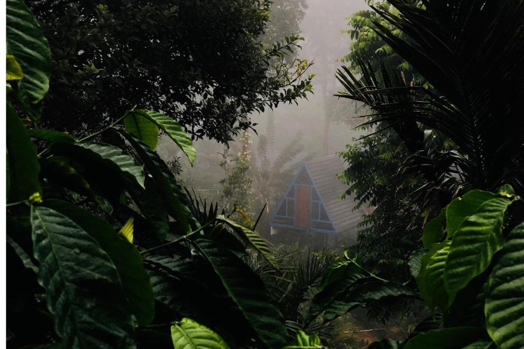 Photo of Others in Sulthan Bathery