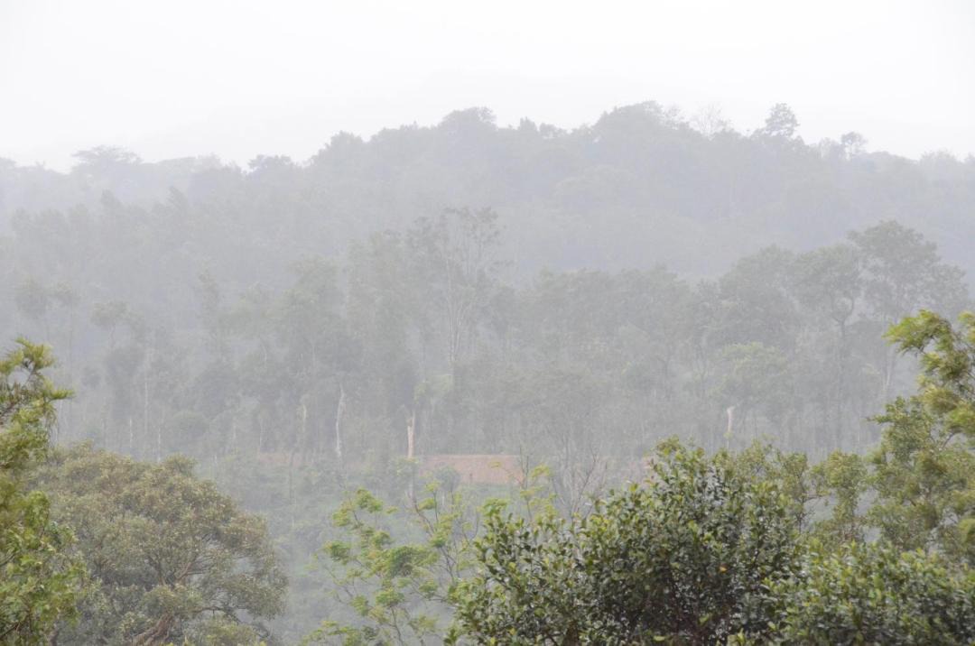 Photo of Others in Madikeri