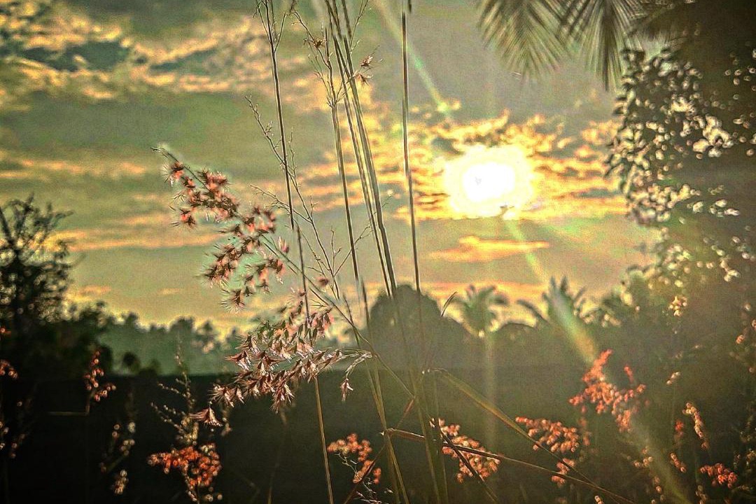 Photo of Others in Kovalam