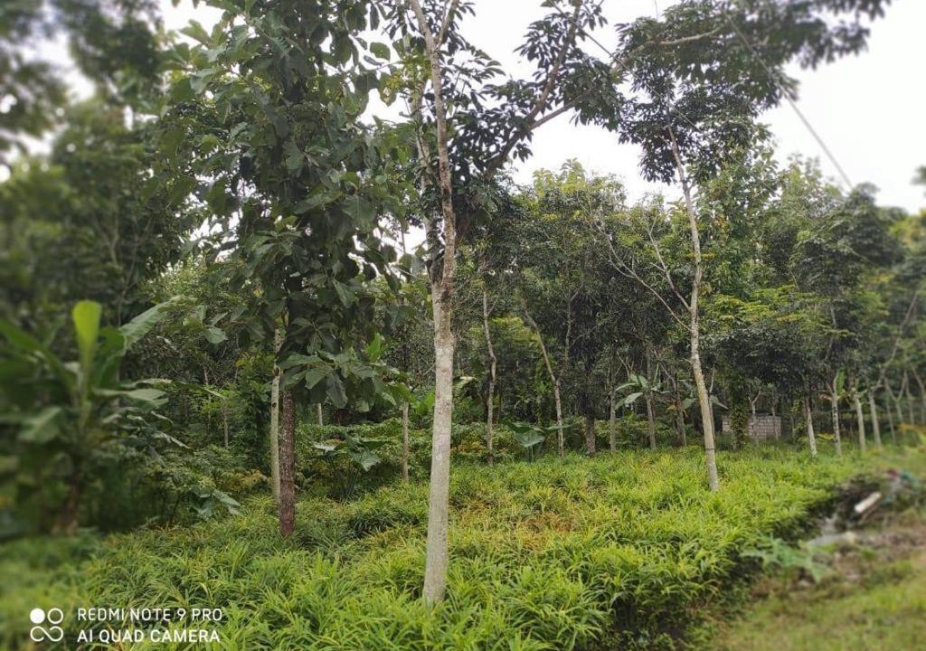 Photo of Others in Sulthan Bathery