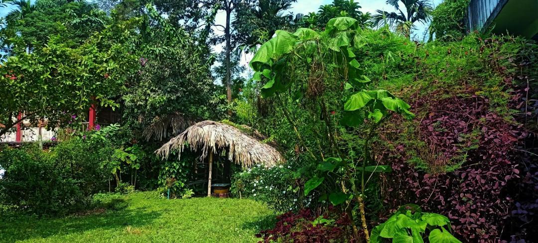 Photo of Others in Bokakhat