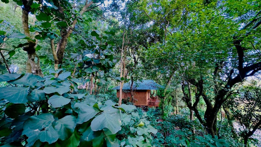 Photo of Others in Kattikkulam