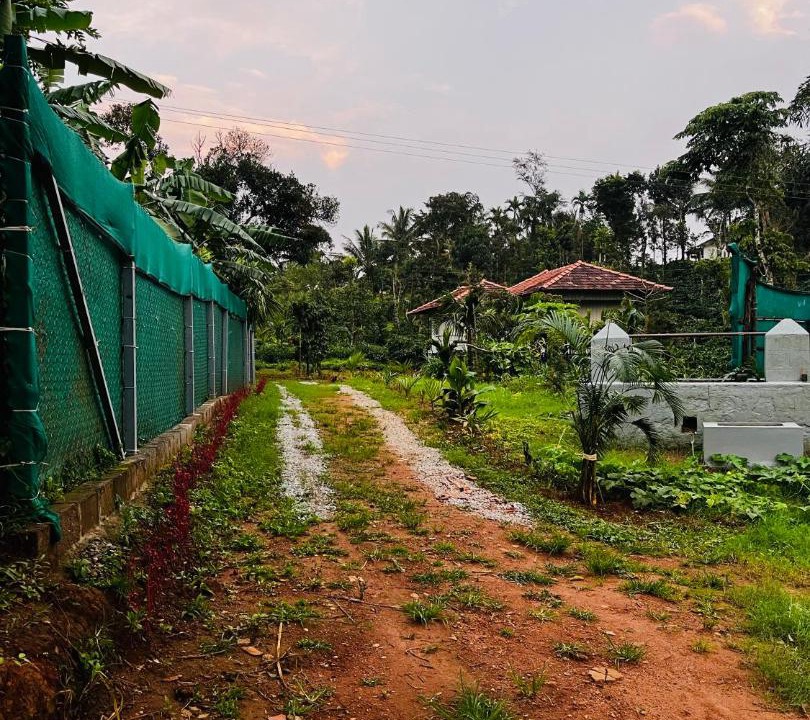 Photo of Others in Sakleshpur