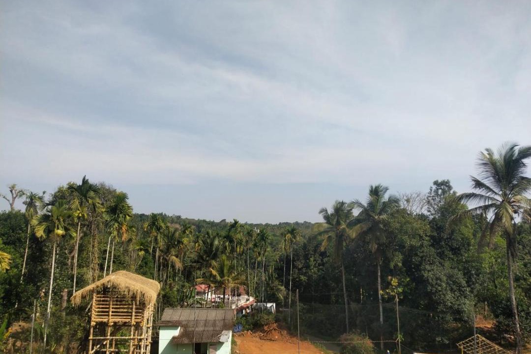 Photo of Others in Mananthavady