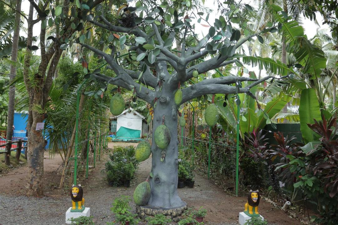 Photo of Outdoor in Courtallam