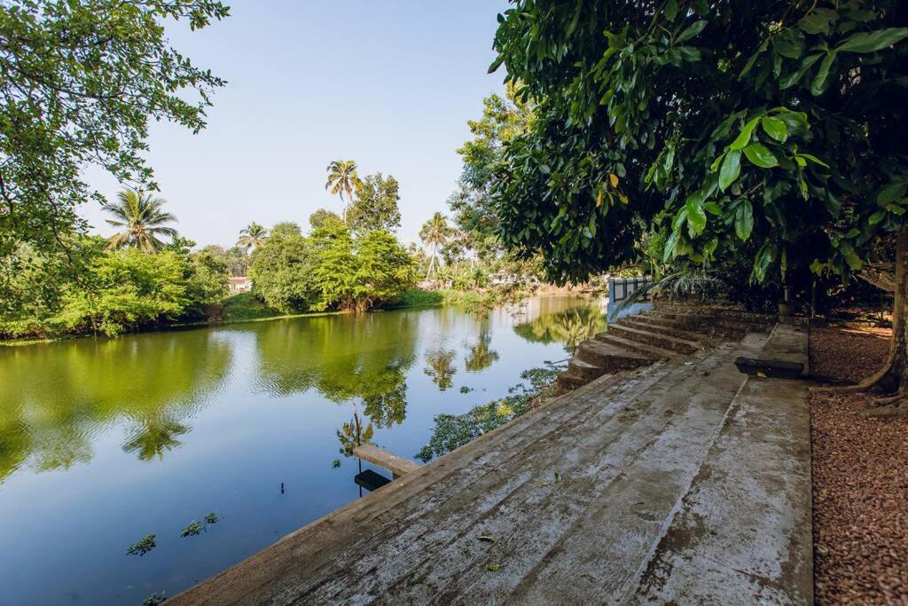 Photo of Others in Perumbaikad