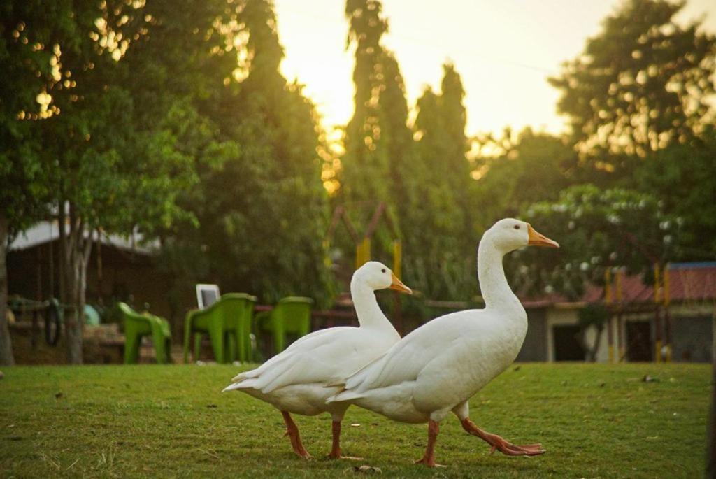 Photo of Others in Gurugram