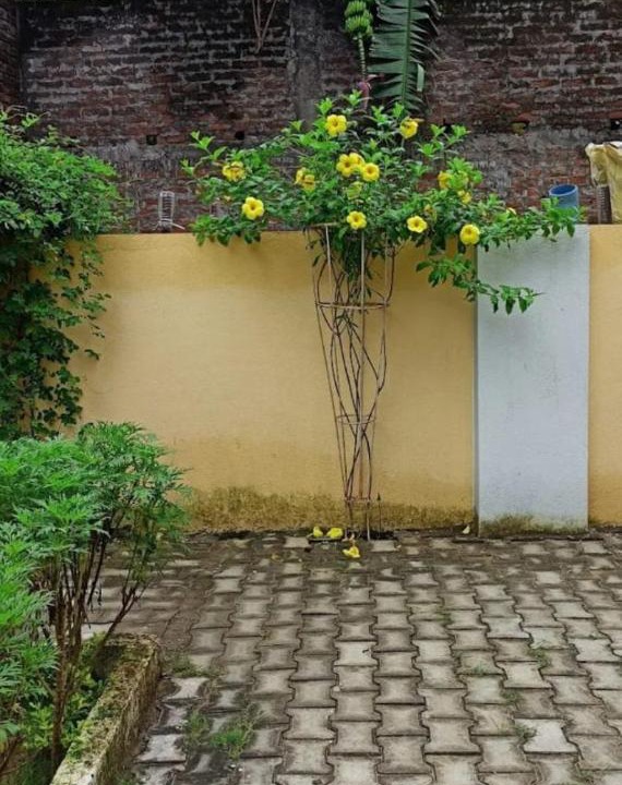 Photo of Others in Gaya