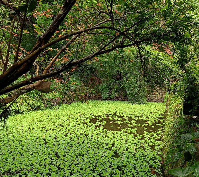 Photo of Others in Vythiri