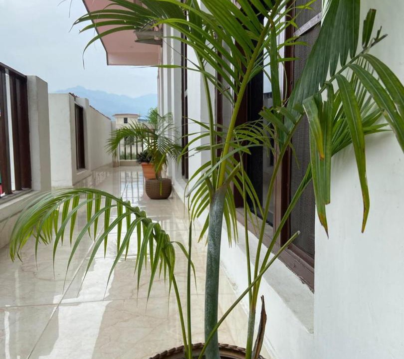 Photo of Patio Balcony in Lansdowne