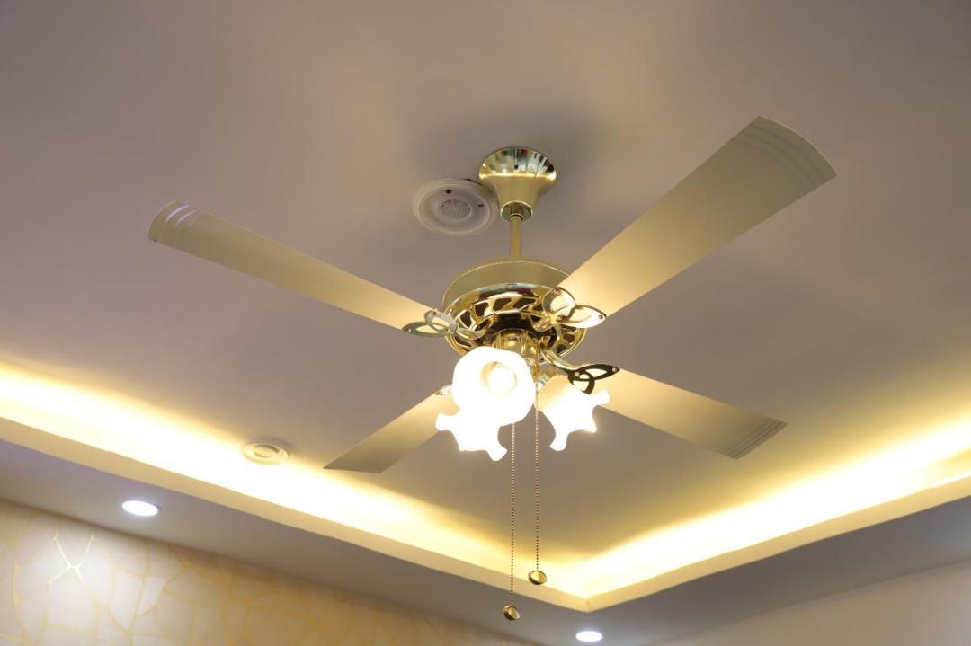 Photo of Others in Greater Noida