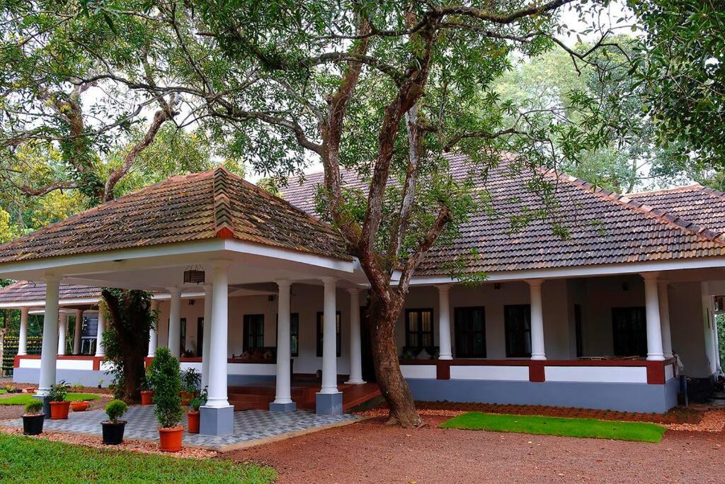 Photo of Buildings in Pallam