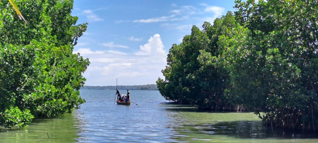 Photo of Others in Munroe Island