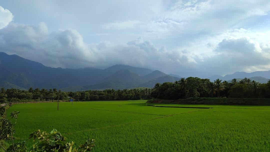 Photo of Others in Tenkasi