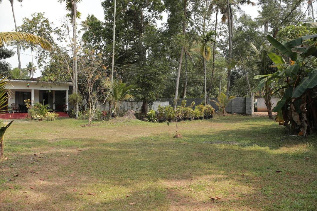 Photo of Others in Mararikulam