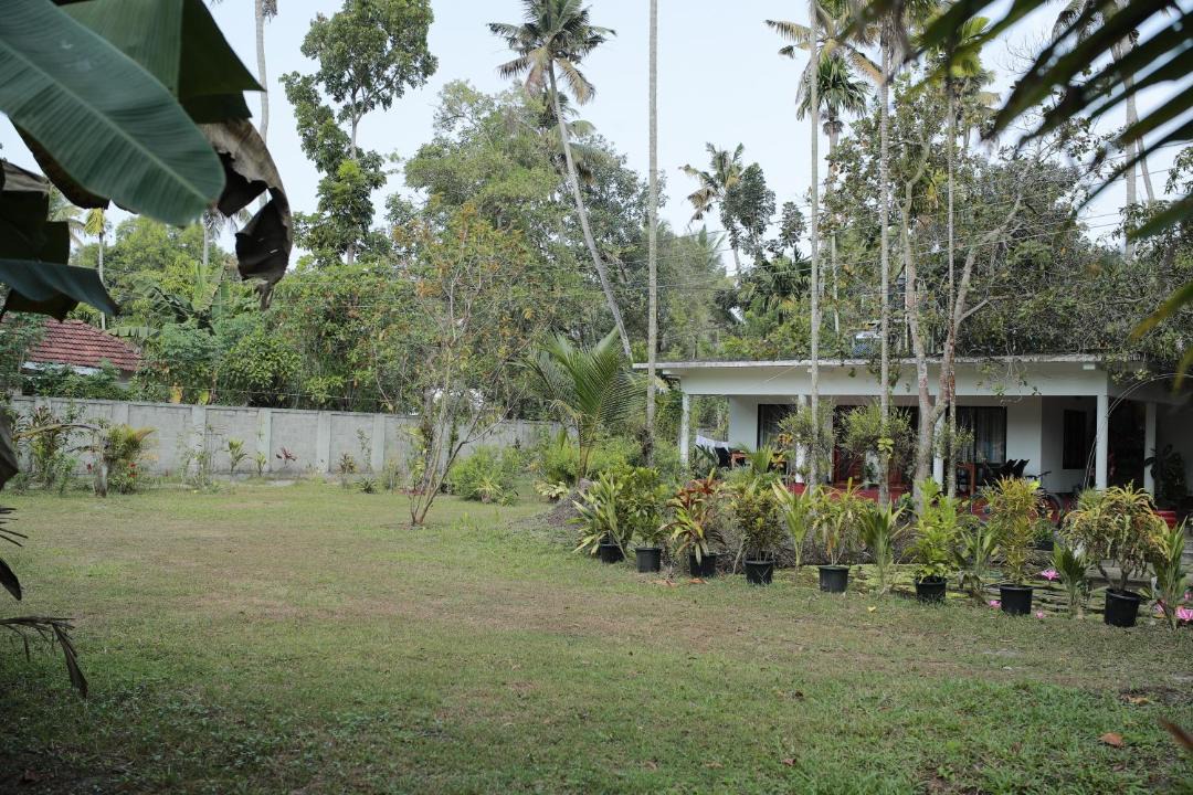 Photo of Others in Mararikulam