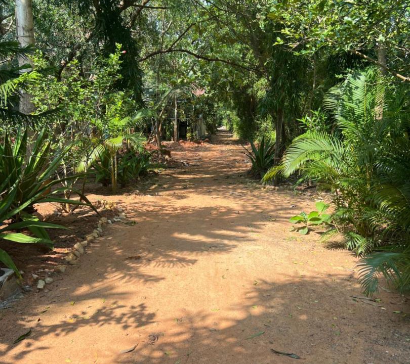 Photo of Outdoor in Bommayapalayam