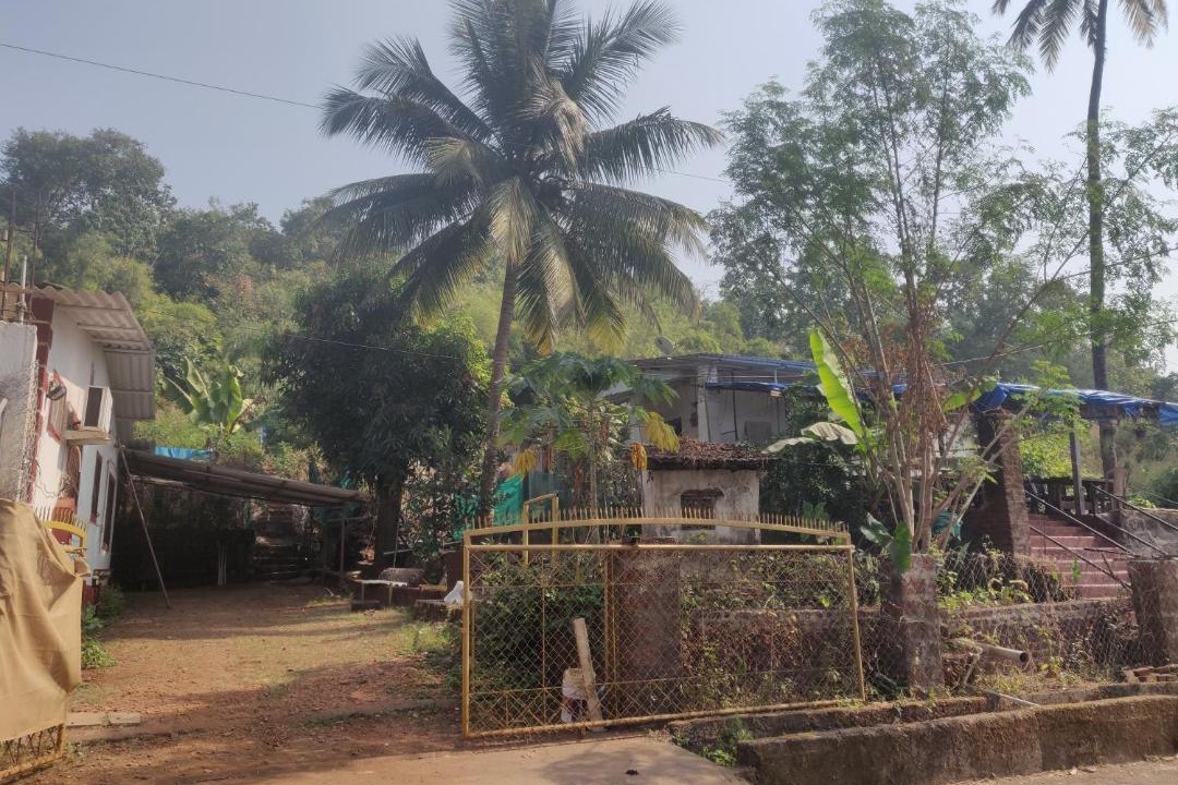 Photo of Others in Mhsala
