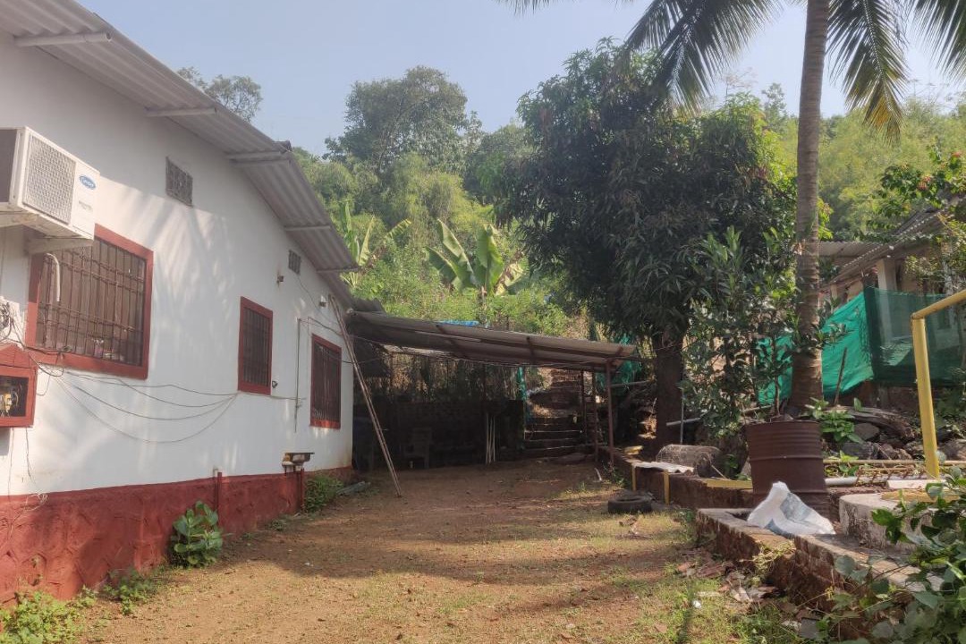 Photo of Buildings in Mhsala