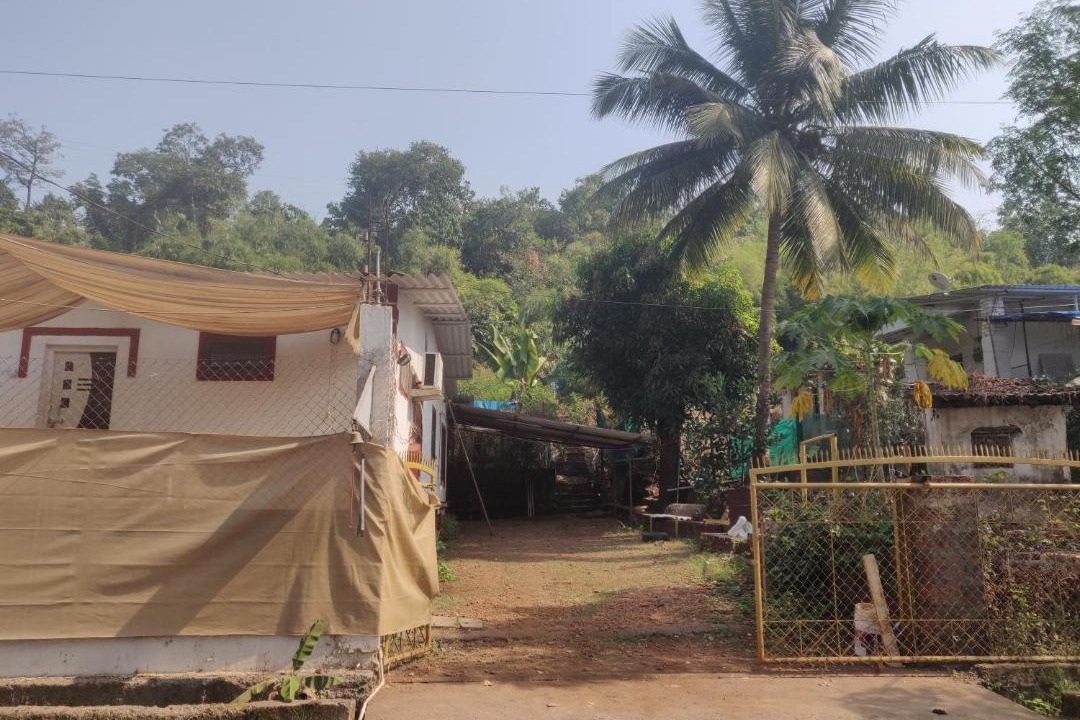 Photo of Buildings in Mhsala
