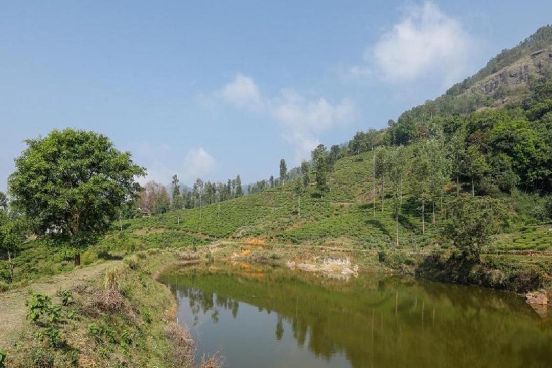 Photo of Outdoor in Coonoor