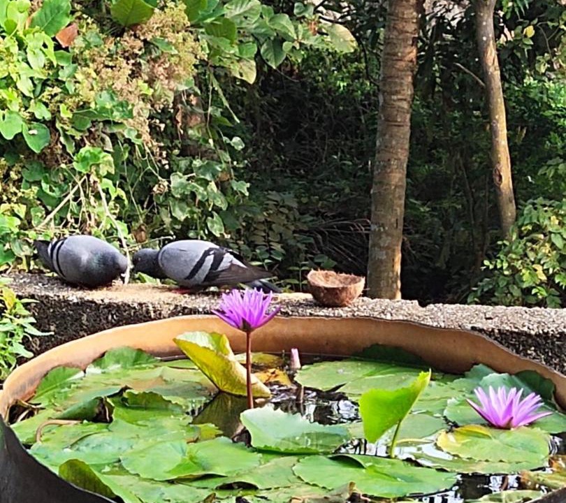 Photo of Others in Kovalam