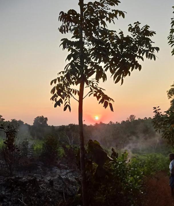 Photo of Outdoor in Ullal