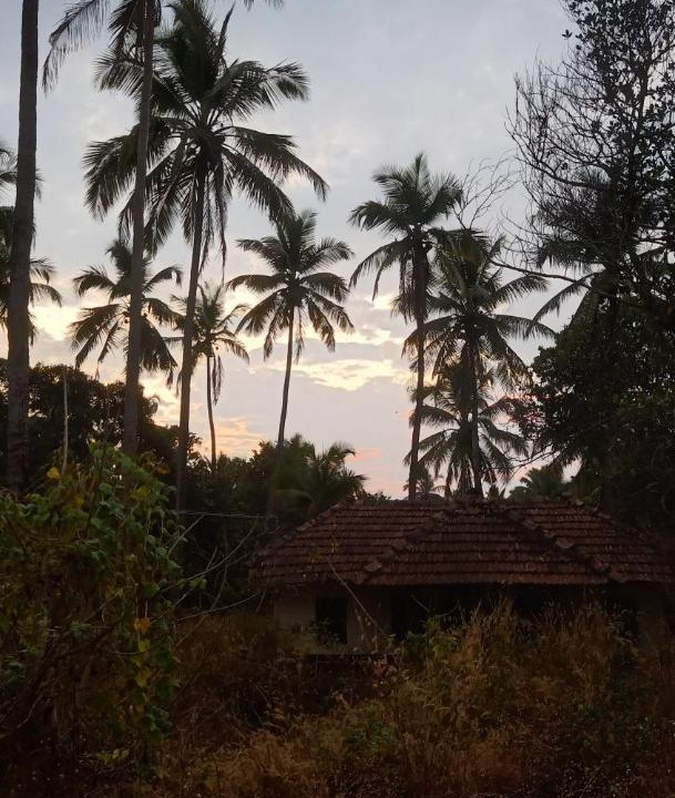 Photo of Outdoor in Ullal