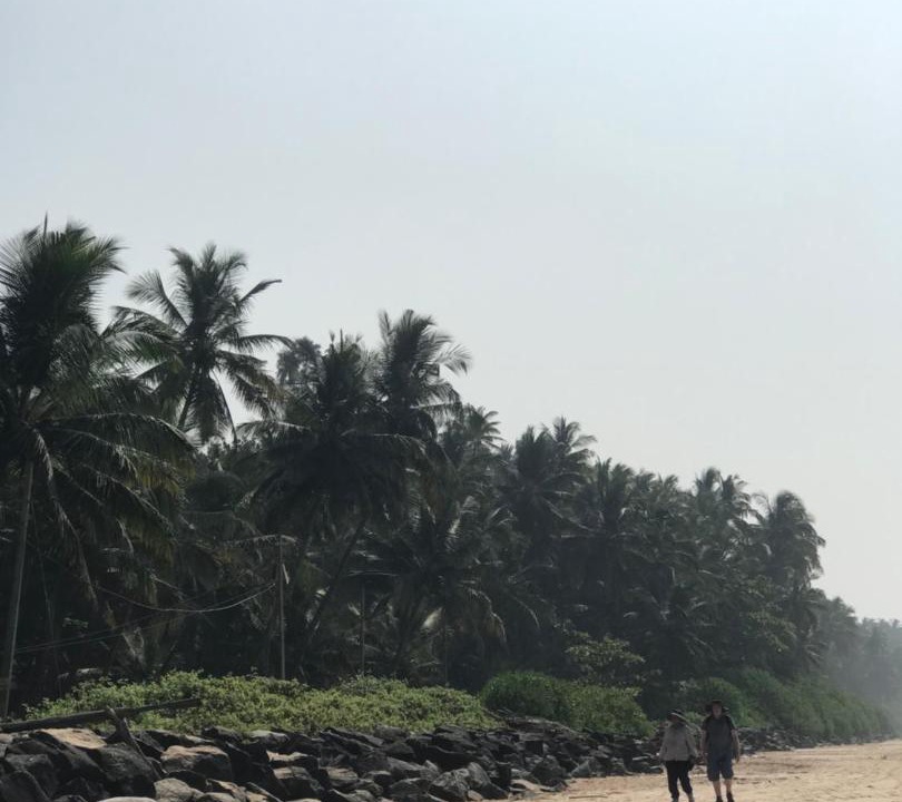 Photo of Others in Kannur