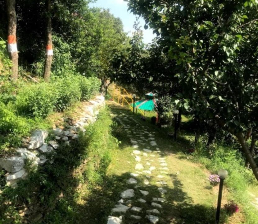 Photo of Outdoor in Kanatal