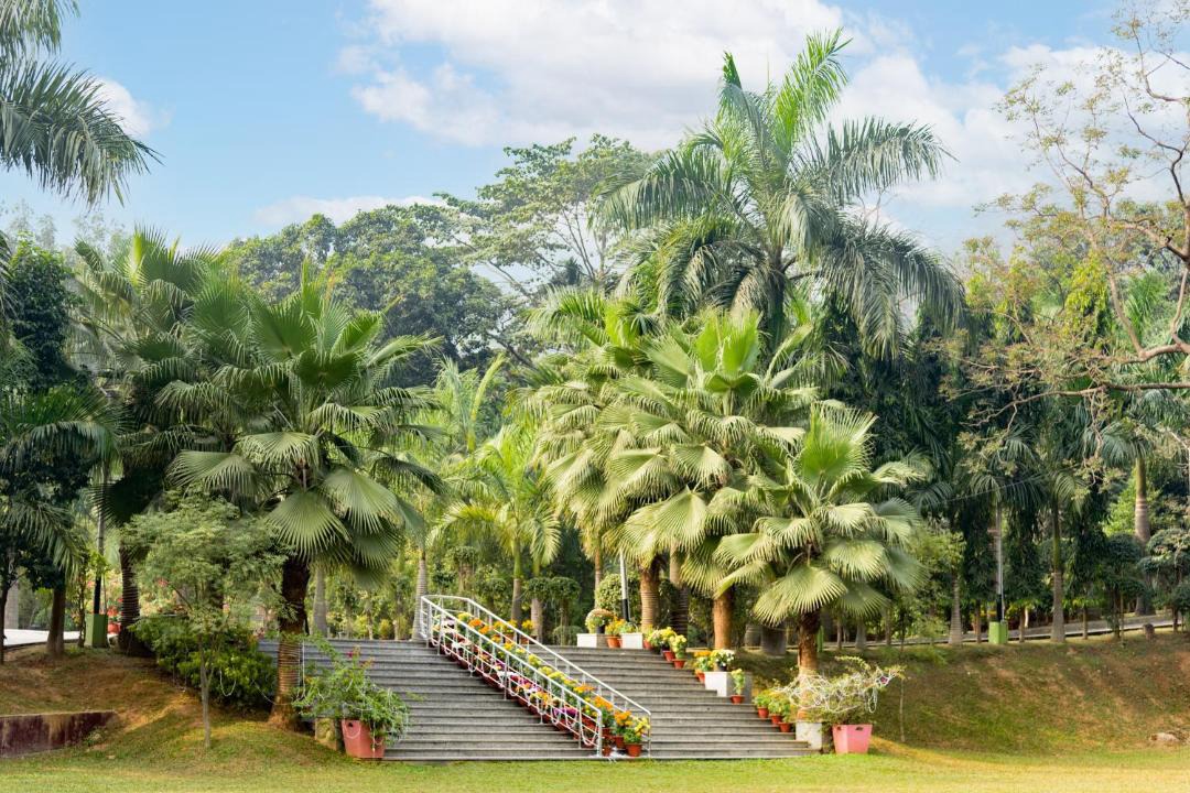 Photo of Others in Khanapara