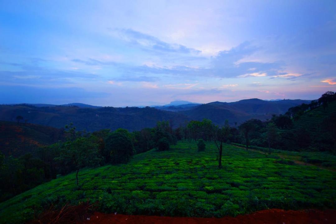 Photo of Outdoor in Elappara