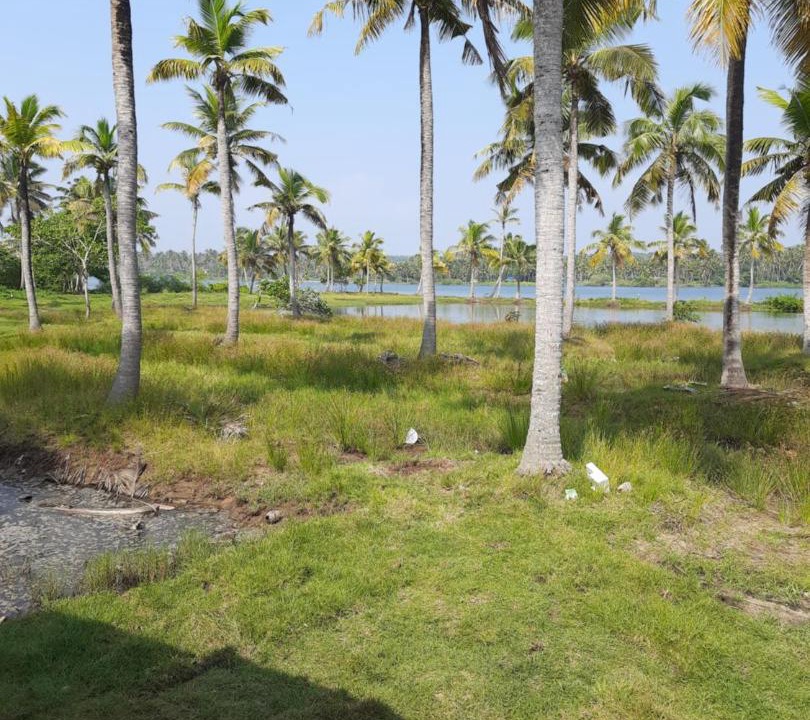 Photo of Others in Chirayinkil