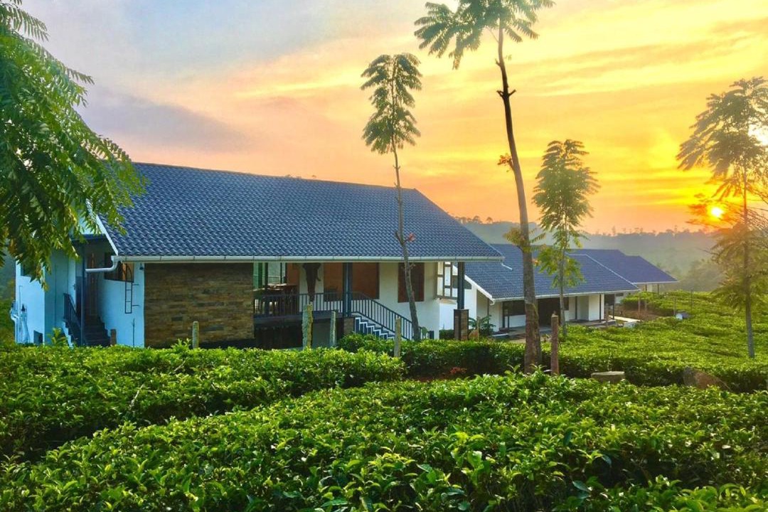 Photo of Buildings in Peermade