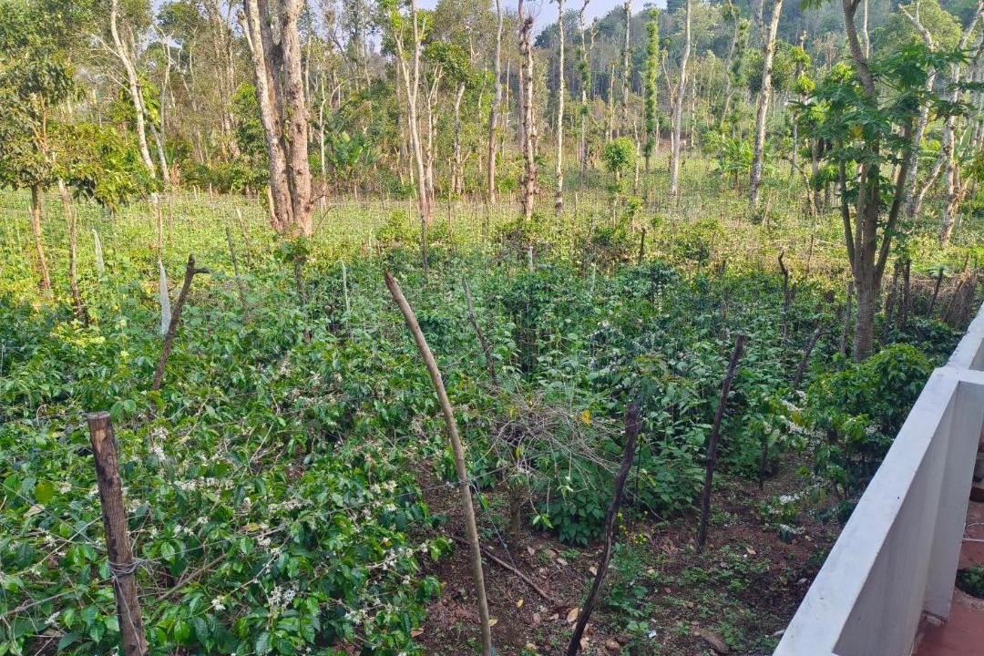 Photo of Others in Kodaikanal