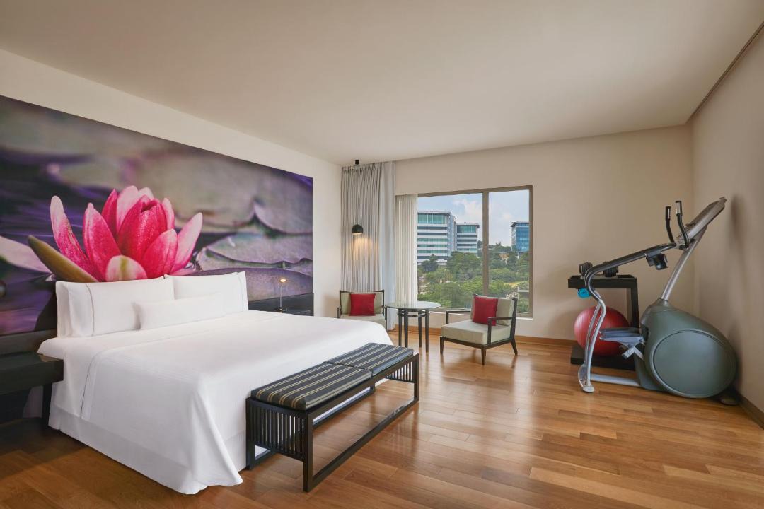 Photo of Livingroom in HITEC City