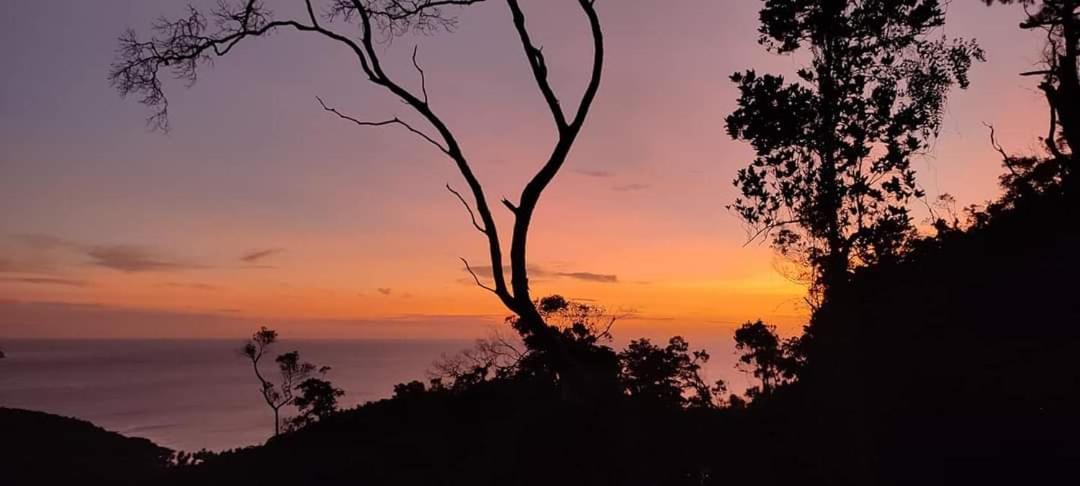 Photo of Outdoor in Puerto Princesa